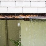 Protecting Your Garden from Roof Runoff During Heavy Rain