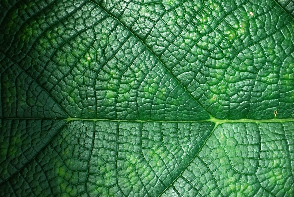 Eco How-To: Craft Ceramic Rain Gardens