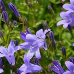 Symbolic Essay: Four Seasons of Clay Symbolic Essay: Four Seasons of Clay