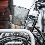 Symbolic Essay: Roots entwining with sacred geometry