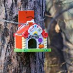 4. Eco How-To: Reanimating Stone Paths with Resilient Bryophyte Weaves 4. Eco How-To: Reanimating Stone Paths with Resilient Bryophyte Weaves