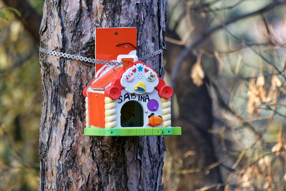 4. Eco How-To: Reanimating Stone Paths with Resilient Bryophyte Weaves