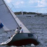 Poetic Guide Whispers in Wood: A Guide to Moss & Memory Poetic Guide Whispers in Wood: A Guide to Moss & Memory