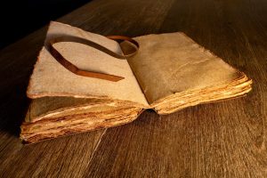 Seasonal Ritual: Coaxing Blossoms from Forge-Touched Soil