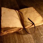 Symbolic Essay: Roots of Resilience in Ashen Soil