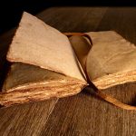 Eco How-To: Merge Fungus and Shared Mycelium Eco How-To: Merge Fungus and Shared Mycelium