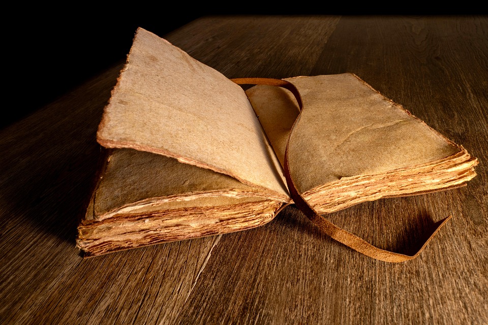 Eco How-To: Merge Fungus and Shared Mycelium