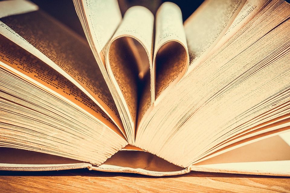 Eco How-To: Weaving Straw into Shelter, Rooted in Dawn’s Light