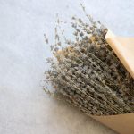 Eco How-To: Foraging Fungi To Craft Enchanted Soap Eco How-To: Foraging Fungi To Craft Enchanted Soap