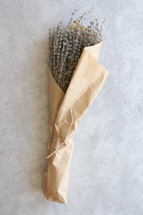 Best Of autumn gilding still waters with harvest’s marigold veins