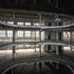 Symbolic Essay: Where Petals Whisper Wisdom Symbolic Essay: Where Petals Whisper Wisdom