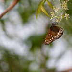 Eco How-To: Weaving Earth’s Breath into Soulful Sprout Homes Eco How-To: Weaving Earth’s Breath into Soulful Sprout Homes