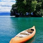 Poetic Guide weaving threads into the breath of bramble