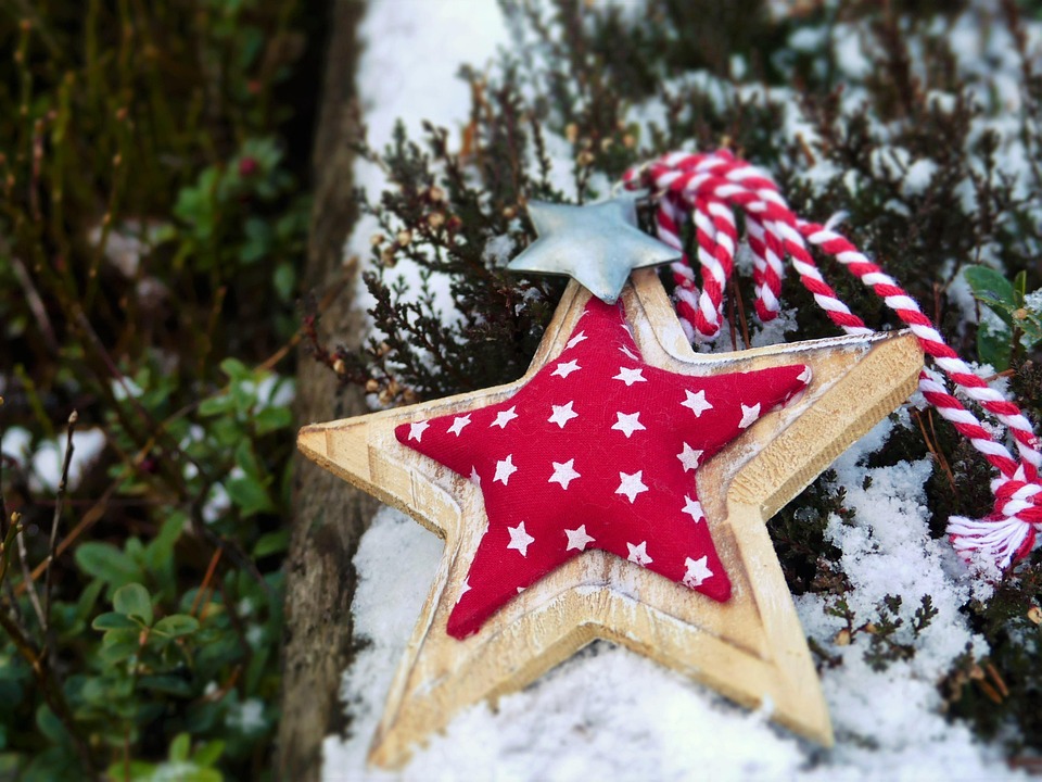 5. Top 5: Thin Line Trees to Borrow Kingdom Energy Daily