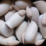 Seasonal Ritual: Gathering Autumn Leaves Into Wishing Bowls