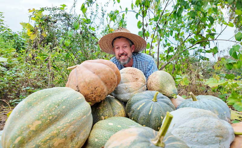 Fascinating Pumpkin Crosses Grenada Black x Seminole