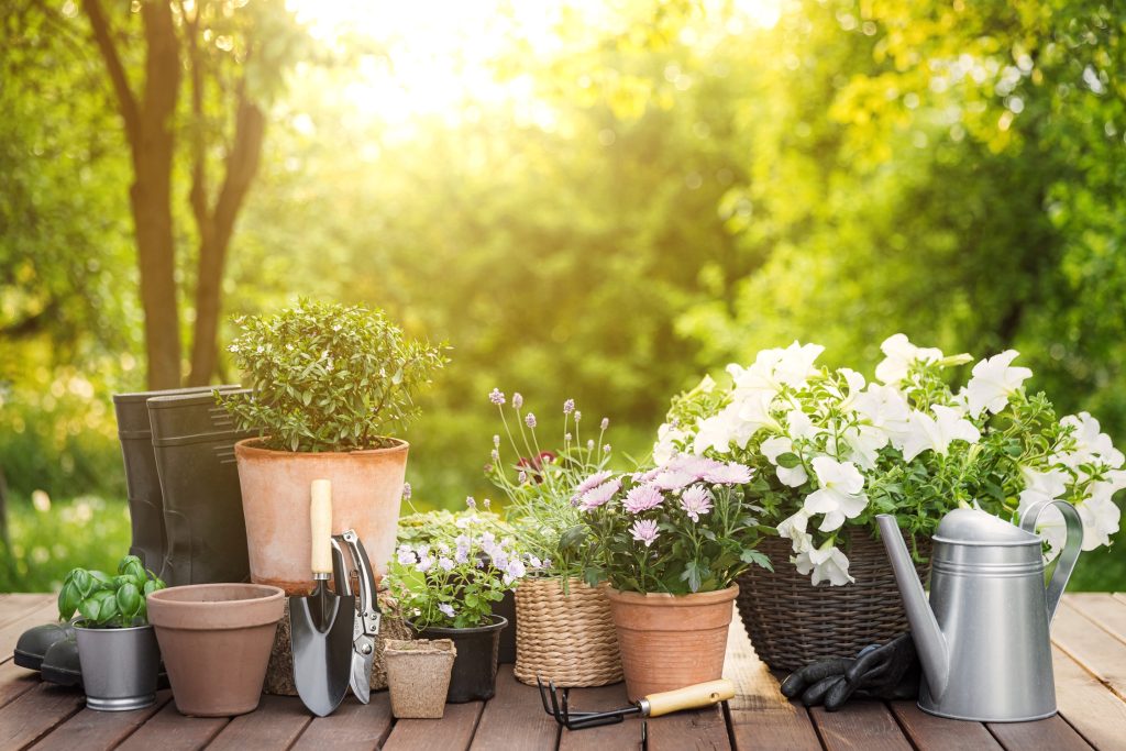 5 Tips for Setting Up a Garden on Your Deck
