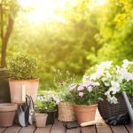5 Tips for Setting Up a Garden on Your Deck 5 Tips for Setting Up a Garden on Your Deck
