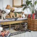 Holiday Gift Guide 2025: For Beloved Cats and Dogs Holiday Gift Guide 2025: For Beloved Cats and Dogs