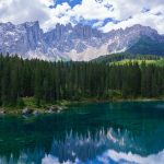 Best Of: Forge refuge where silence flowers