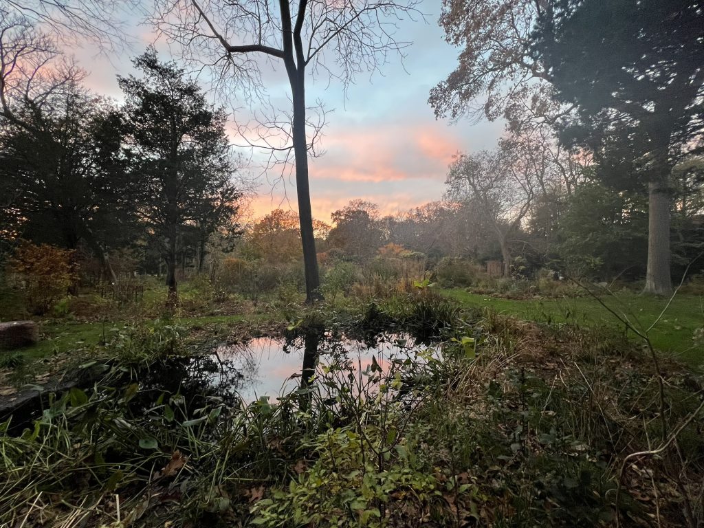 The Year in Gardening: Looking Back With Joy (and Looking Ahead With Hope)