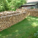 Seasonal Ritual: Tea ceremony with fallen leaves Seasonal Ritual: Tea ceremony with fallen leaves