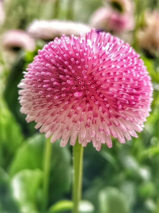 Symbolic Essay Threads of Soilin Tiny Root Universes