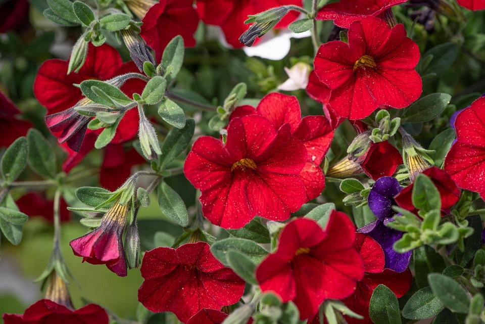 Seasonal Ritual: Morning Coffee with Daffodils