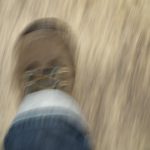 Symbolic Essay On Forest Bathing Reflections Symbolic Essay On Forest Bathing Reflections