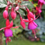 Eco How-To Recycled Vessels, Wild Harmony