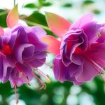 Best Of Harvesting Light in Urban Jungles