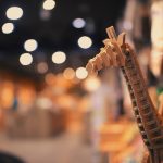 Top 5 Ideas: Roots of Calm: Five Earth-Anchored Practices For Peaceful Spaces Top 5 Ideas: Roots of Calm: Five Earth-Anchored Practices For Peaceful Spaces