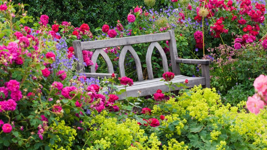 9 Old Fashioned Flowers To Transport You To Another Time