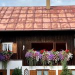 Eco How-To: Planting Tomorrow’s Oasis in Concrete Jungles Eco How-To: Planting Tomorrow’s Oasis in Concrete Jungles