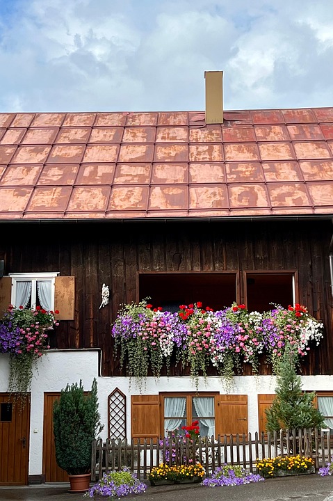 Eco How-To: Planting Tomorrow’s Oasis in Concrete Jungles