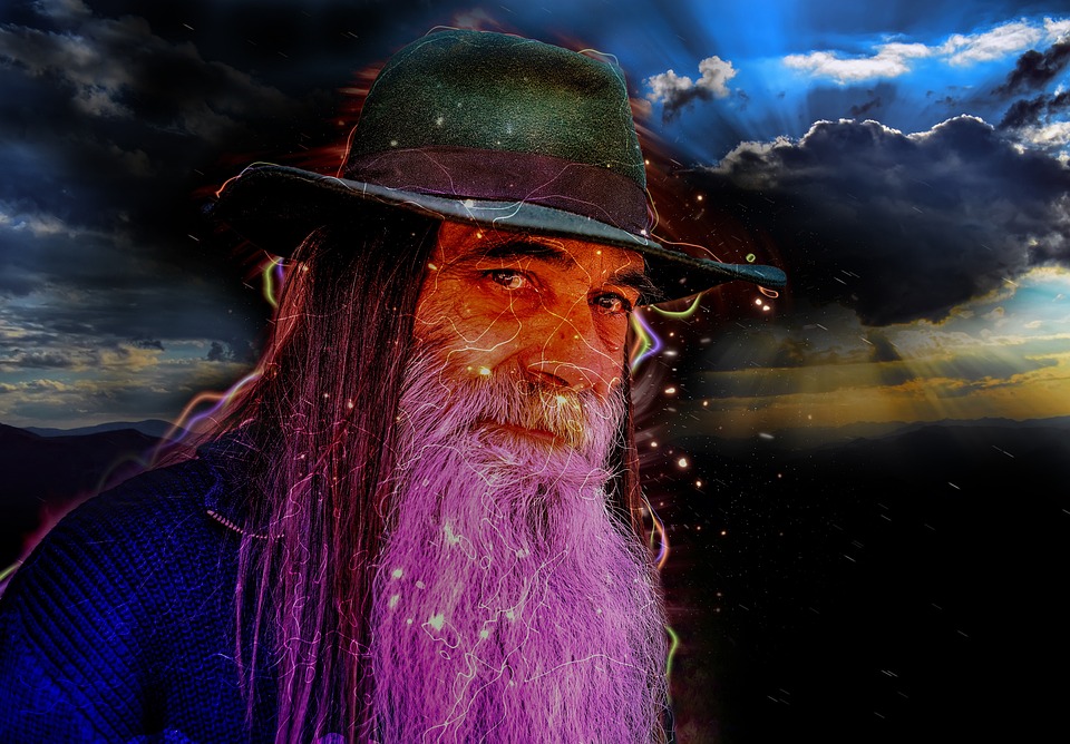 Eco How-To Urban Walls Rebel with Climbing Greenery