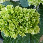 Best Of sow seeds of slow time Best Of sow seeds of slow time