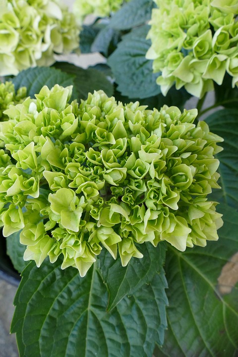 Best Of sow seeds of slow time