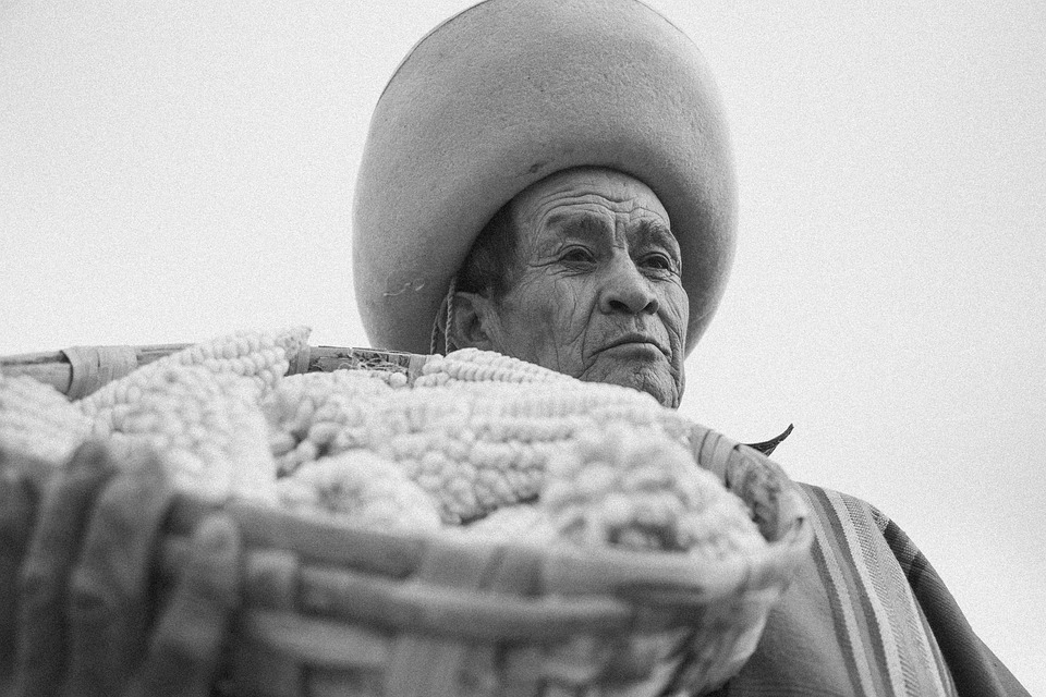 Symbolic Essay: Moonlit Moss: Soil’s Timeless Lullabies (5 words)