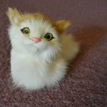 Symbolic Essay: Petals as Parchment Rooted in the Earth’s Breath