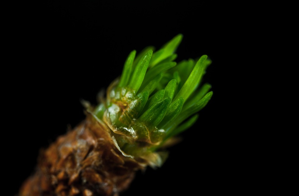 Symbolic Essay: Stone paths dwellers’ souls