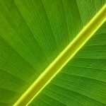 Eco How-To: Building Hugging Rooftops Where Winds Share Songs