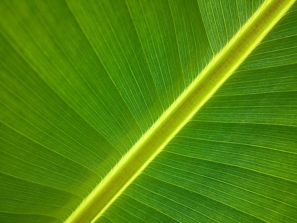 Eco How-To: Building Hugging Rooftops Where Winds Share Songs