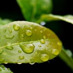 Eco How-To: Handcrafted mud bricks whispering stories