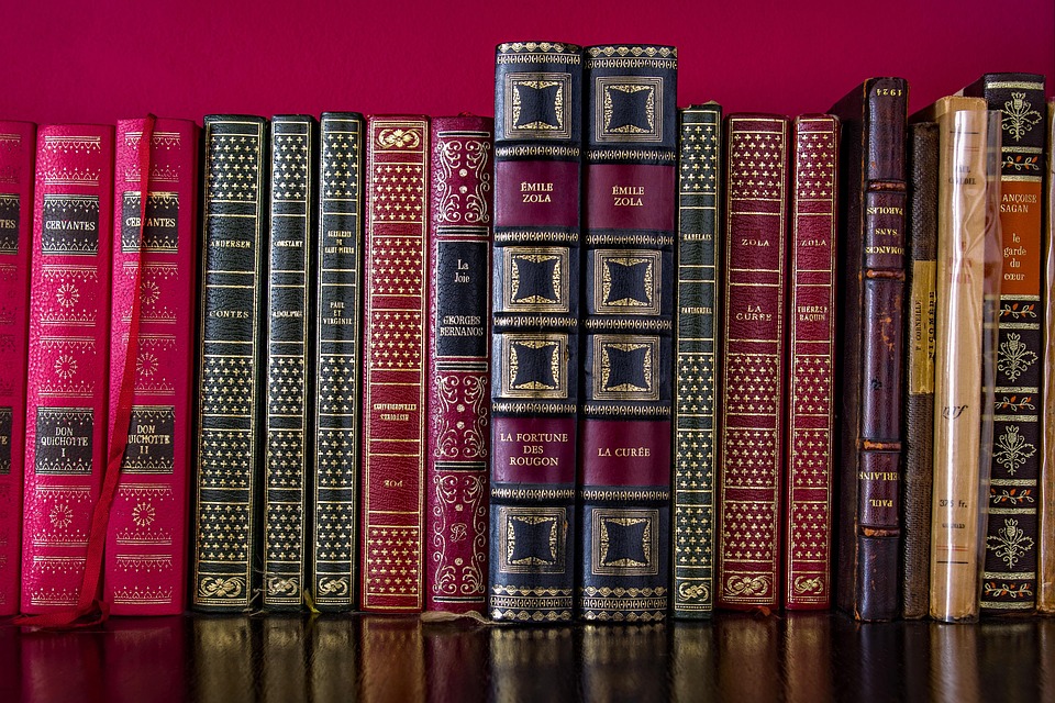 PoeticGuide: The Quiet Language of Roots