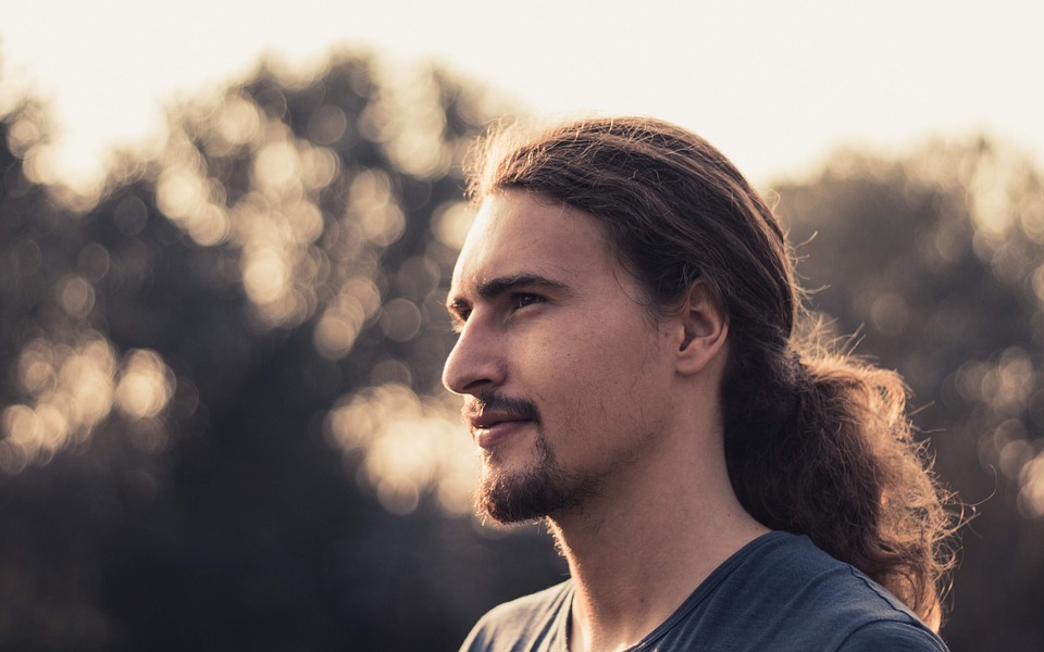 Symbolic Essay: Lanterns of Lichen in Midnight Hues