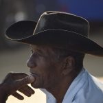 Symbolic Essay: Bloom in Shadows’ Quiet Embrace