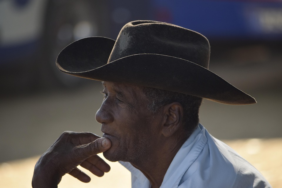 Symbolic Essay: Bloom in Shadows’ Quiet Embrace