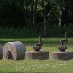 Top 5 Ideas: Birch Bark Books: Pages of Amber Resin and Sunlit Leaves