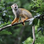 Eco How-To: Rooting Growth with Biodegradable Anchors & Fallen Leaf Completers Eco How-To: Rooting Growth with Biodegradable Anchors & Fallen Leaf Completers